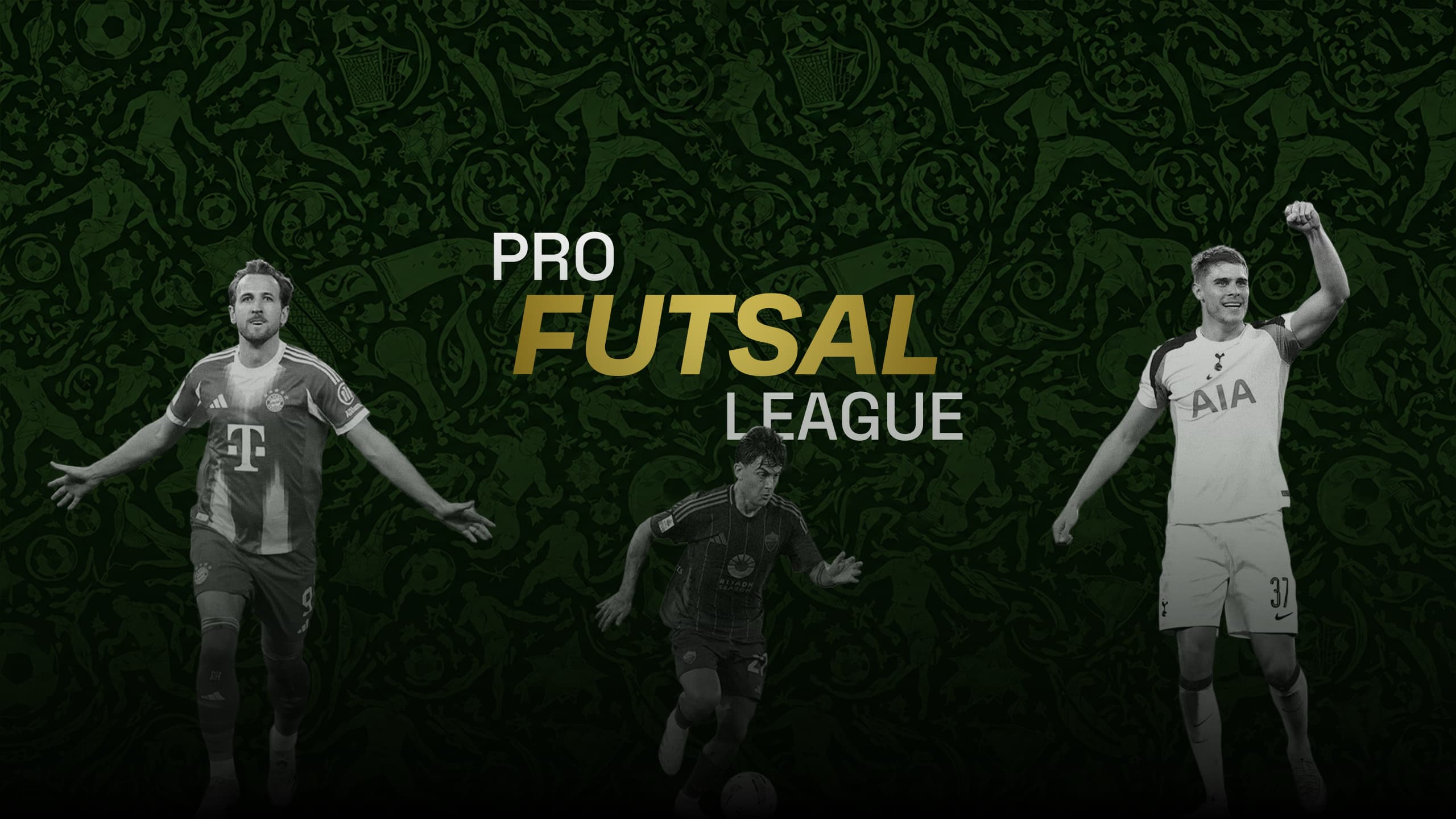 Pro Futsal League